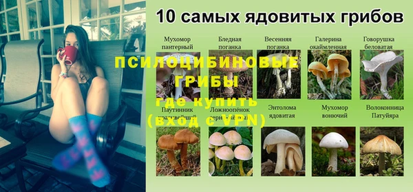 2c-b Абаза