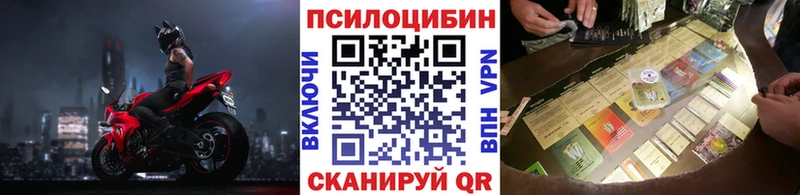 дарнет шоп  OMG   Псилоцибиновые грибы ЛСД  Полтавская 