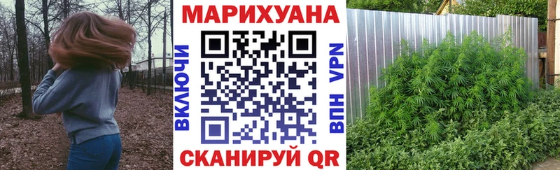 купить наркоту  Полтавская  Конопля семена 